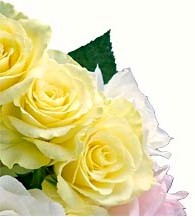 Order Teleflora Flowers Today From Clarence Walker for Flowers